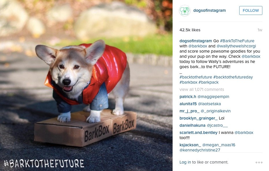 Barkbox