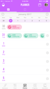 Kayla Planner