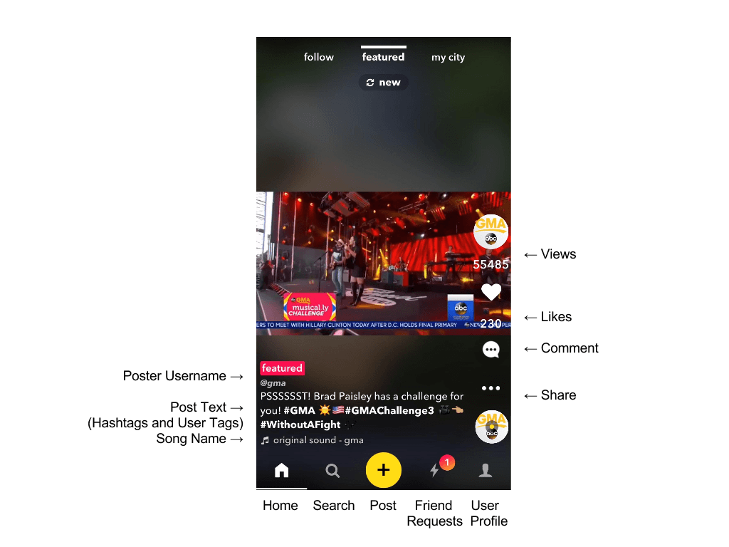 Musical.ly-Report
