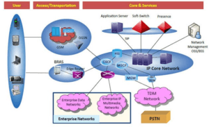 Cellular Network