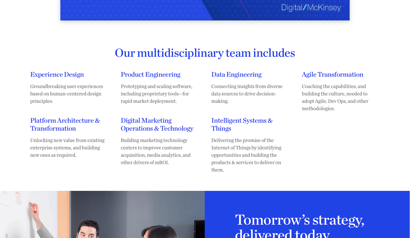 McKinsey & Co. Digital Labs multidisciplinary teams, (from Digital Labs home page)