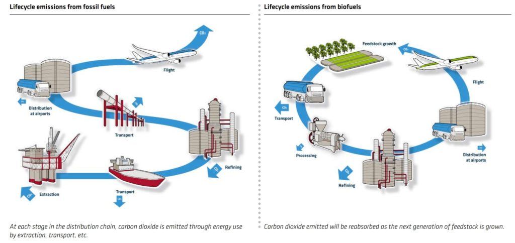 Life-cycle of biofuel compared with fossil fuel 