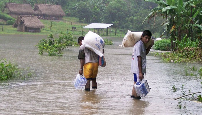 700_gua_achotalito_200803wfp-hugo_rodriguez_013