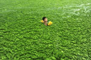 china-pollution