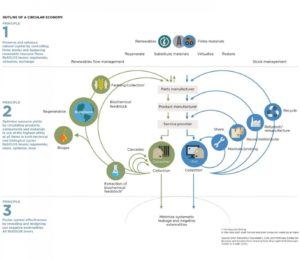 Circular Economy Model