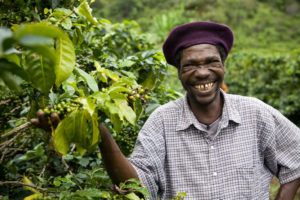 Perhaps how one of Starbucks' suppliers may feel if new climate change resistant varieties continue to be developed and introduced 