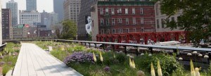 IMG_8052_High Line