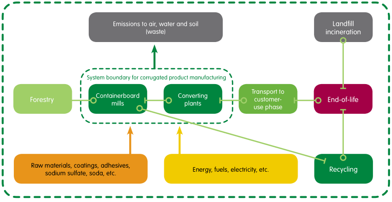 Lifecycle of Cardboard Product