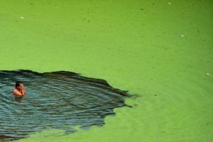 Exhibit 1(a): Chinese water pollution – the sobering reality