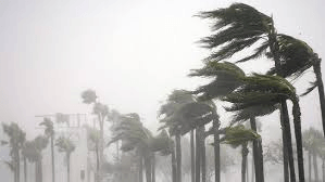 Storm. Google Images.