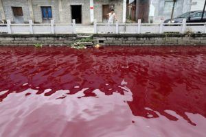 A river in Wenzhou, Zhejiang Province, contaminated by unknown substances (thought to be blood), Reuters, 2014