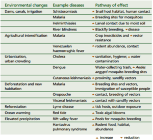 climate-change-and-diseases