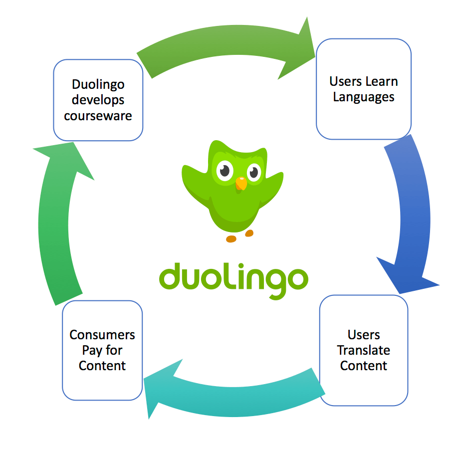 The virtuous Duolingo Cycle Source: Author