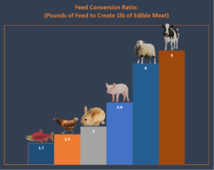 feed-conversion-ratio2