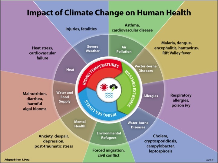 Figure-1: Impact of Climate change on human health (3)