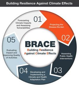 Figure 5: BRACE Framework [10]