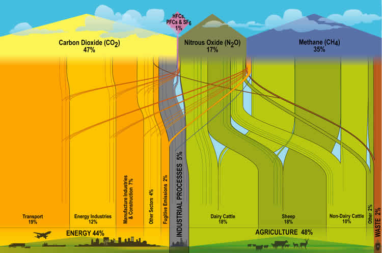Source: https://www.mfe.govt.nz/publications/climate/gas-emissions-flowchart/gas-flowchart.html