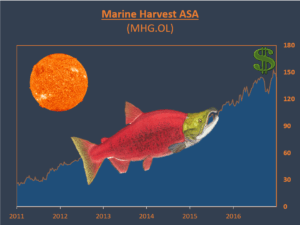 marine-harvest-final-graph