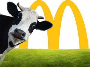 mcdonalds-cow
