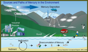 mercury-picture
