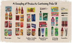 Example of products with palm oil