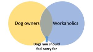 Dog Ownership and Workplace Obligations