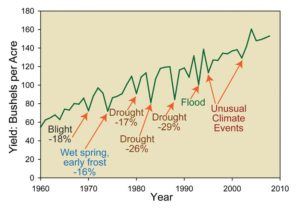 Extreme weather events cause significant reductions in corn yields.