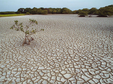 Great Plains Water Crisis: Aquifer's Depletion Threatens Farmland -  Bloomberg