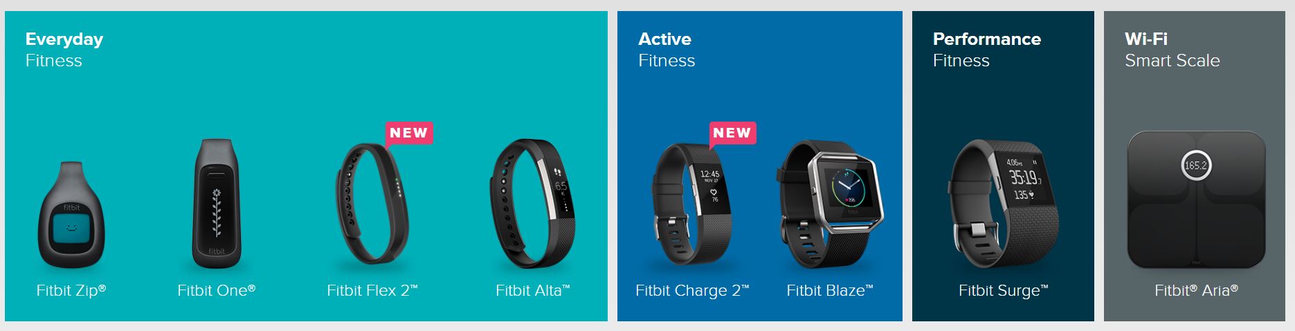 Figure 1. Fitbit’s 2016 product offerings, categorized by activity level [1].