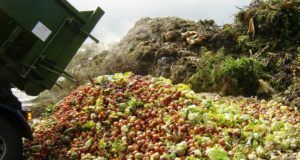 Photo sourced from: http://www.slowfood.com/food-waste-forum/