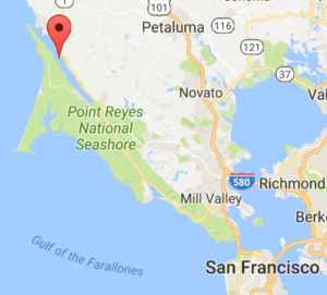 Tomales Bay. Picture source: Google maps