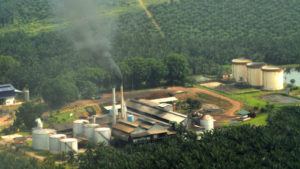 Palm Oil Plantation and Mill
