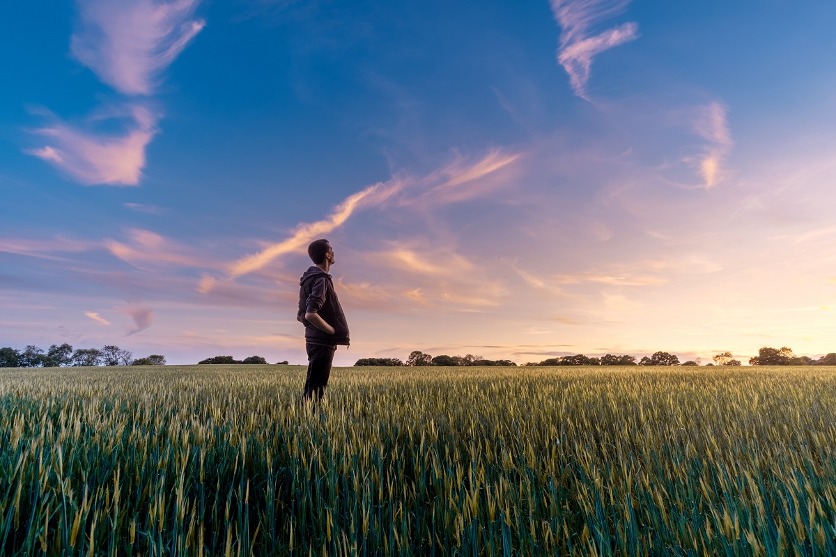 Man in a grassy field looking to setting sun