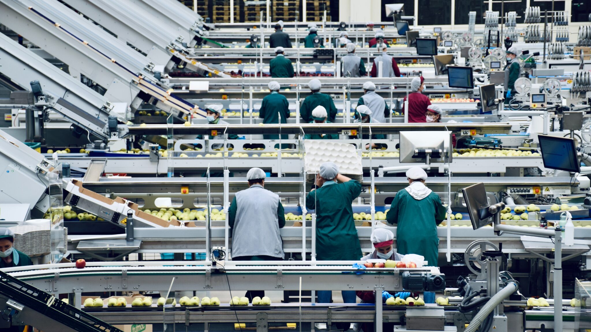 workers in a factory
